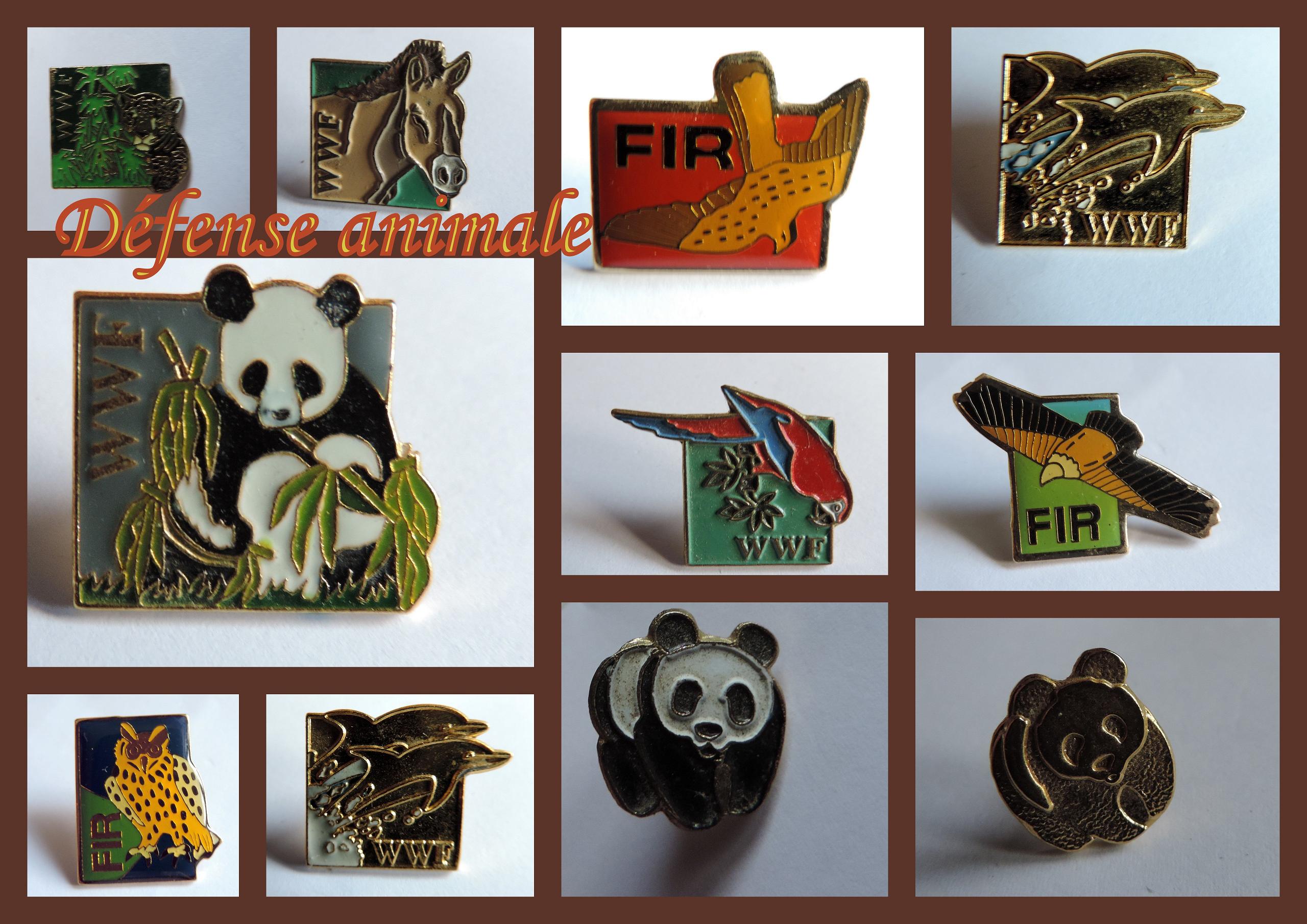 PIN'S......suite et fin