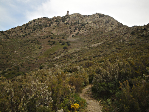 * BANYULS-SUR-MER tour de la Madeloc