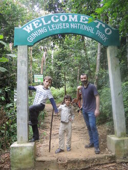  Orang-utans et compagnie