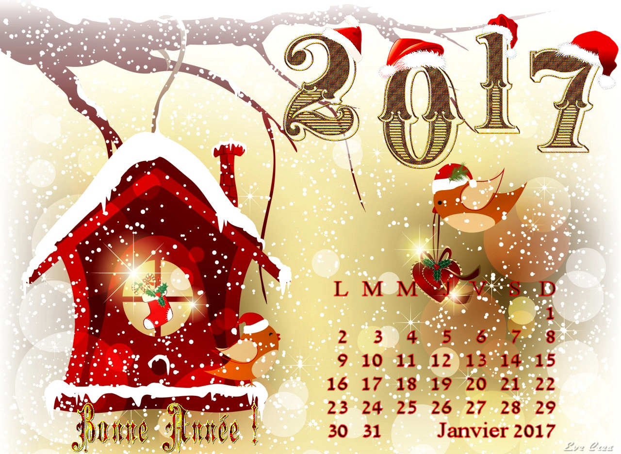 fond d'ecran gratuit janvier