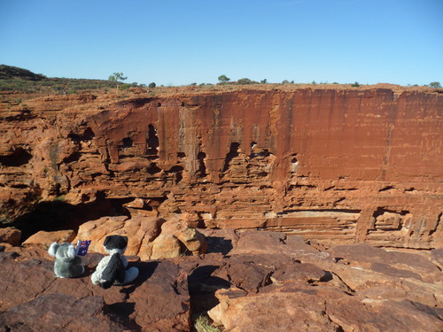 Dans l'Outback Jour 3 : King's Canyon