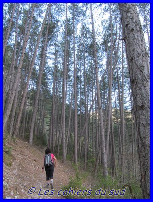 Les gorges de Trévans