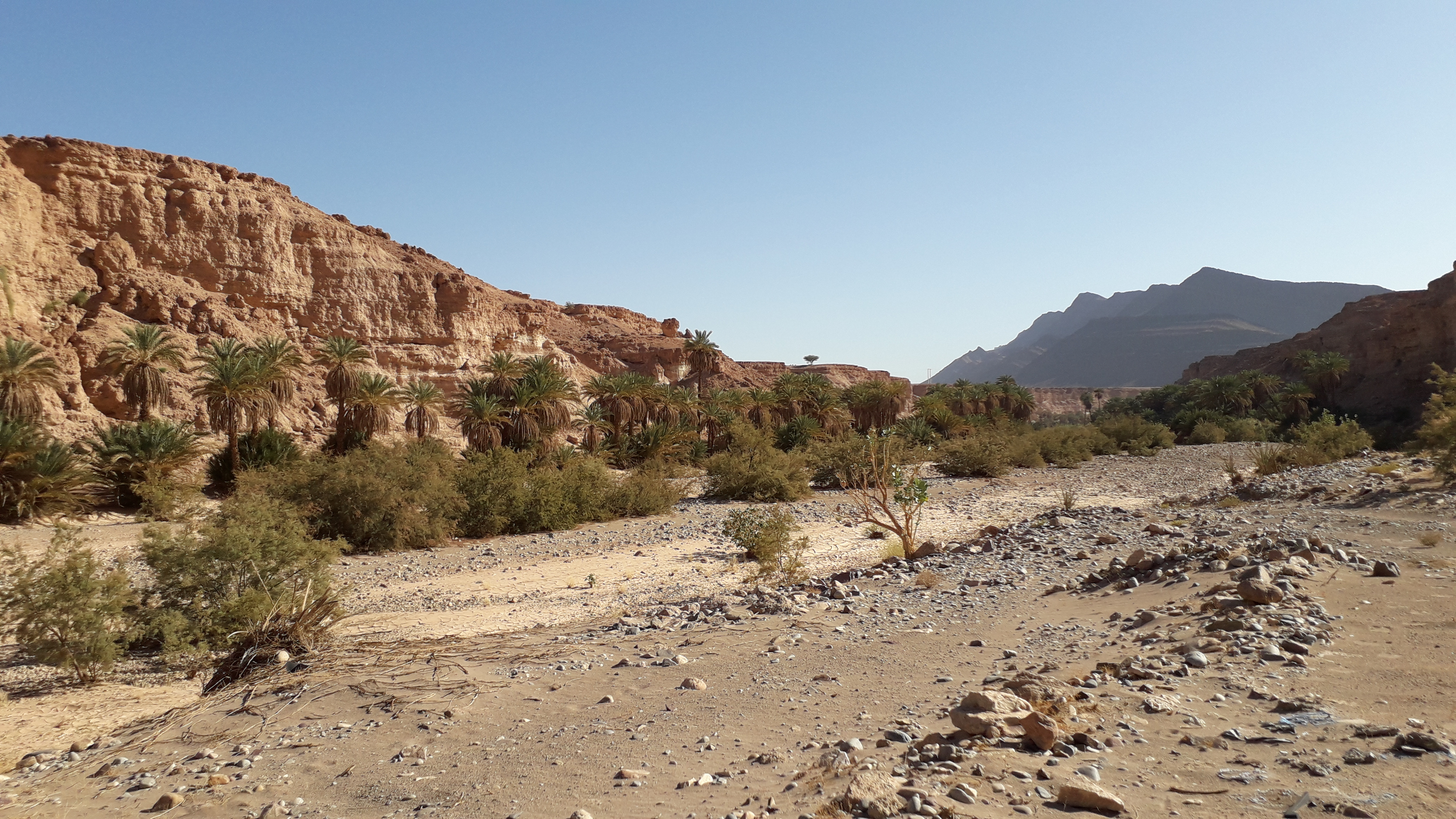 Canyon Tissint