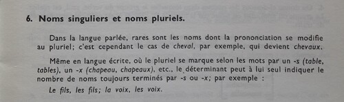 E / Le pluriel (nombre grammatical)