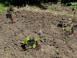 22 juin : début d'été