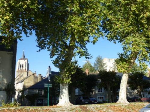 COULEURS D'AUTOMNE A BEAUGENCY