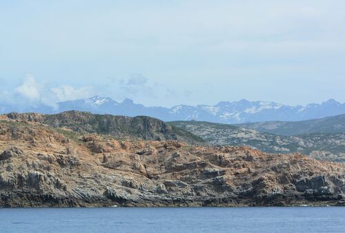 Promenade en mer dans la Réserve Naturelle de Scandola 