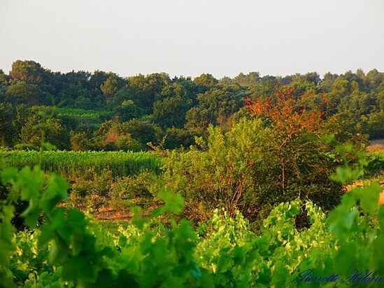 Couleurs de l'aurore