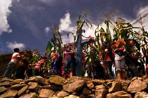 Fête du maïs à Chietepec el Grande, montagnes de Guerrero, Mexique (Photo : Prometeo Lucero/CDHM Tlachinollan) Fête du maïs à Chietepec el Grande, montagnes de Guerrero, Mexique (Photo : Prometeo Lucero/CDHM Tlachinollan)