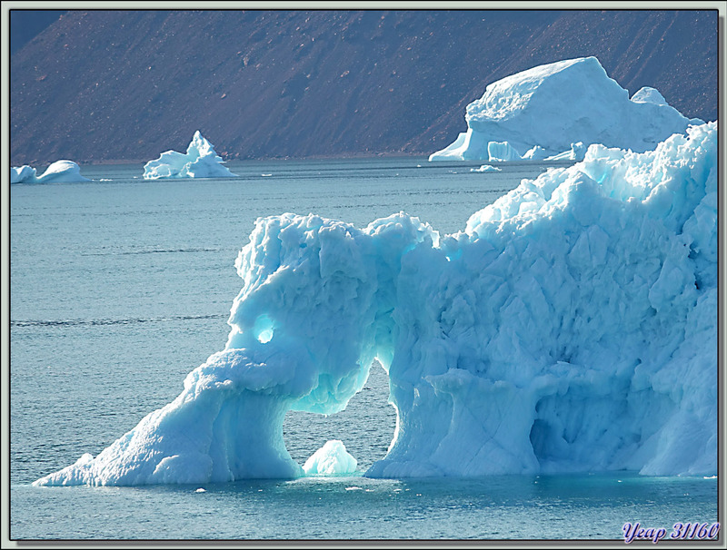 Navigation dans le Fjord Inglefield : observation d'une zone avec de très beaux icebergs - Région de Qaanaaq - Groenland