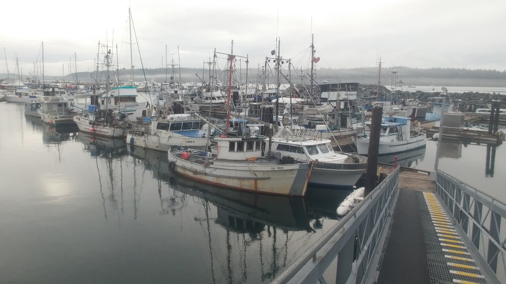 Over Western Shores: My 2023 British Columbia Summer Holiday - Tenth Day: From Port Hardy to Parksville