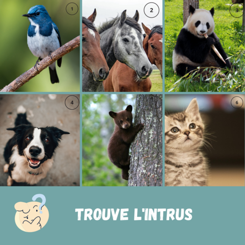 Les animaux