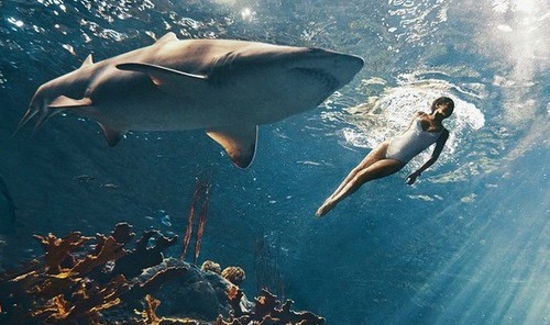 rihanna pose avec des requins pour le Harper's Baazar
