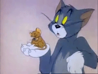 Tom and Jerry | Wiki | Cartoon Amino