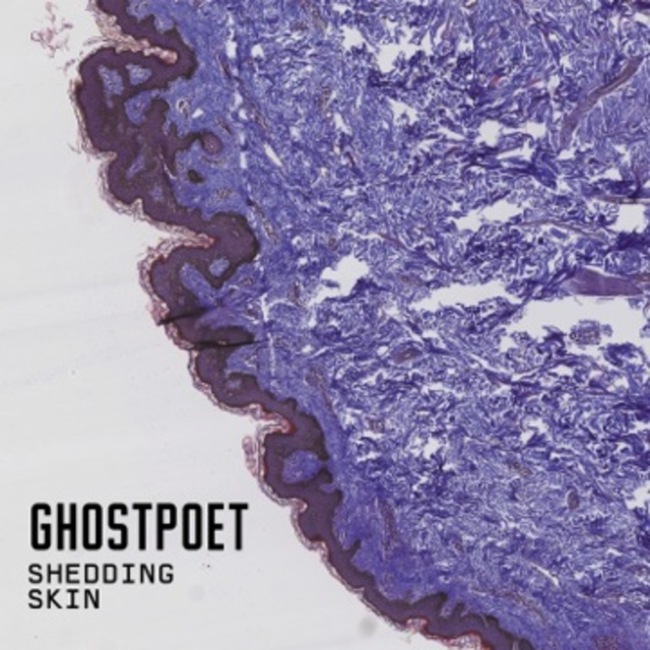 Ghostpoet - Shedding Skin (2015) [Hip Hop , Electro , Alternative , Indie]