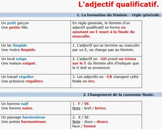L'accord de l'adjectif qualificatif - L'EXAMEN NORMALISÉ (Collège & lycée)