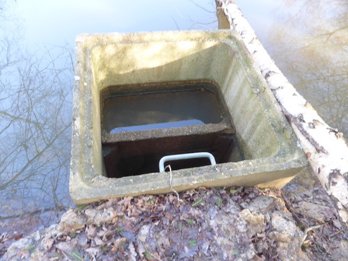 - Etang bientôt plein - Autruches et girafes -