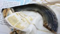 Veille de Kippour - Allumage des bougies - Torah, Halacha et Pensée