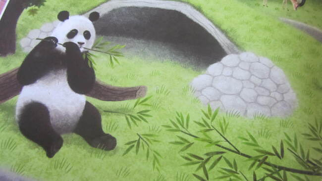 "Yen-Yen le panda géant" des éditions NATHAN