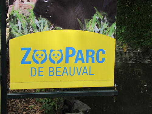 Zoo de Beauval (1).