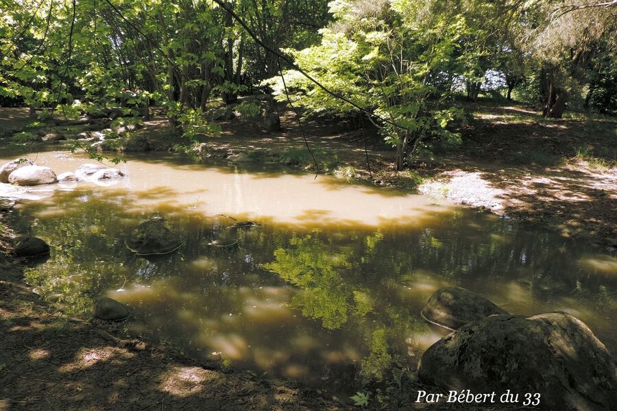 le parc floral de Bordeaux dept 33 (2)