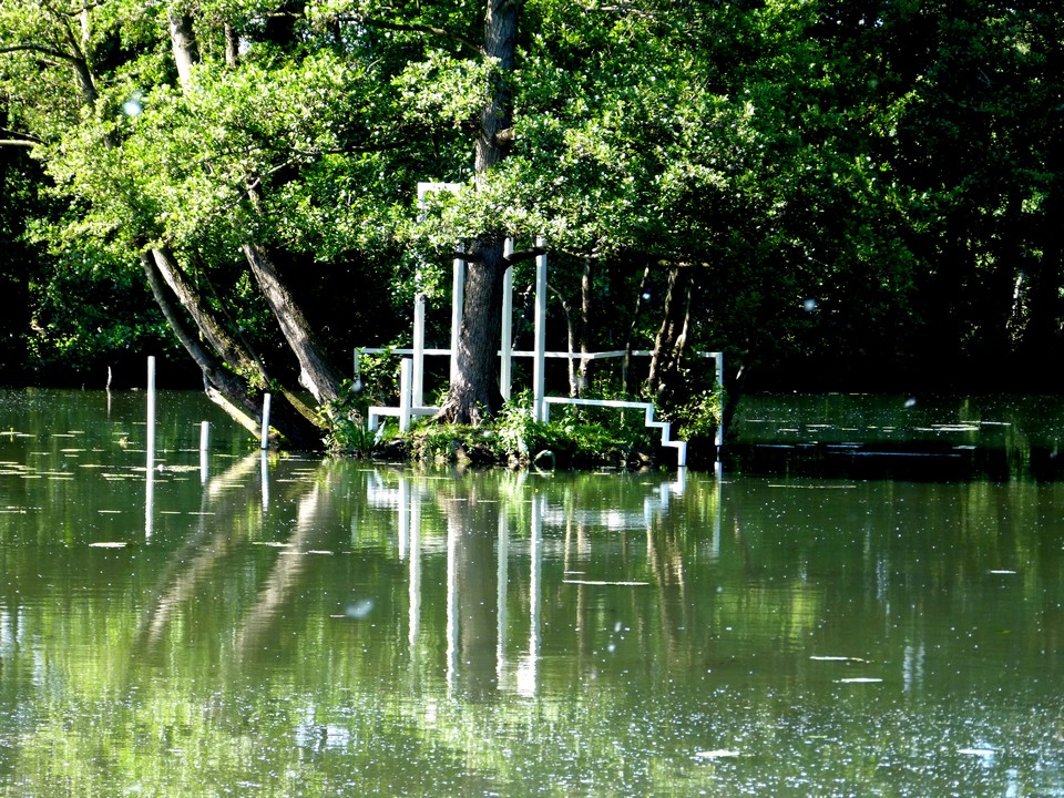 Plongée en verdure profonde 