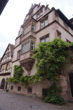 Escapade en Alsace : la route des vins