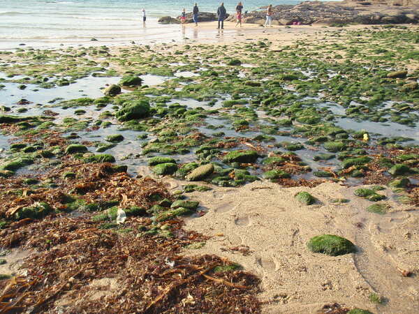 QUAND LA MER MONTE