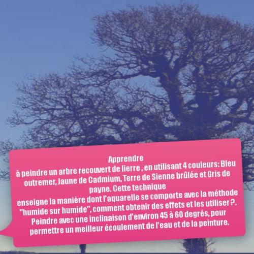 Dessin et peinture - vidéo 3547 : Comment peindre un arbre recouvert de lierre avec 4 couleurs ? - aquarelle.