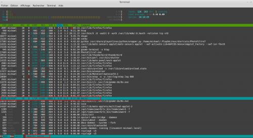 Utilisation du moniteur système HTOP