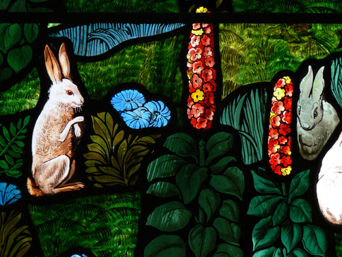 Des histoires de lapin dans le vitrail