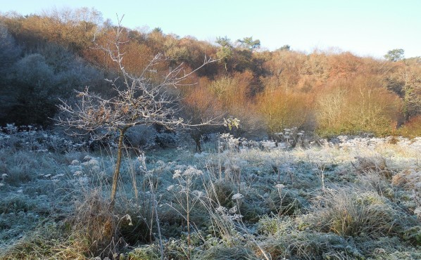 matin de glace.3