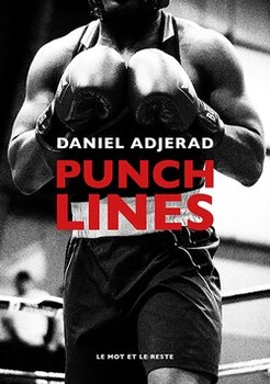 Punchlines, de Daniel Adjerad
