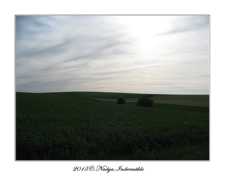 Biermes, mon village d'enfance