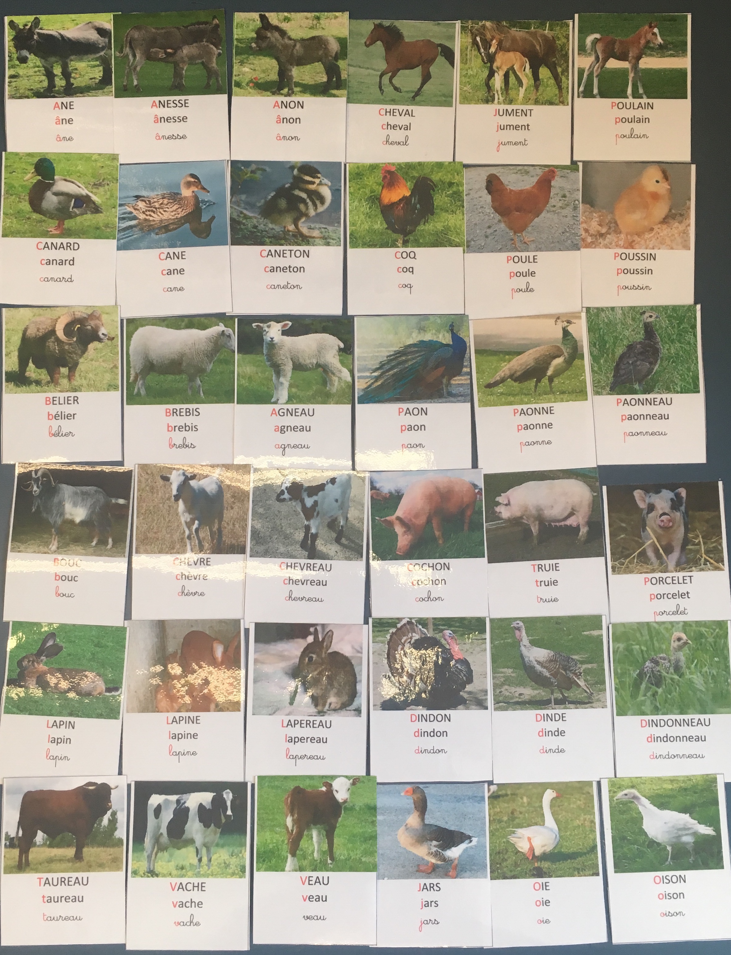 Imagier des animaux de la ferme - maternellepailletée
