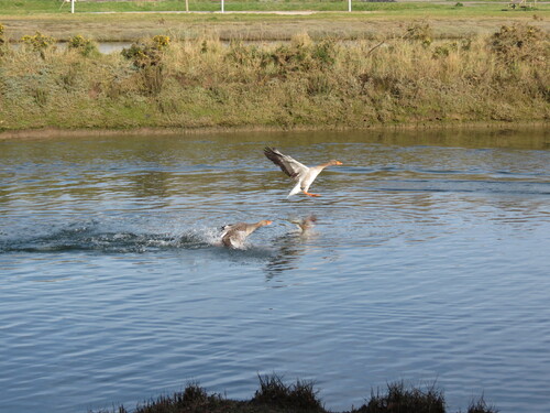 au lac de paimpol ...