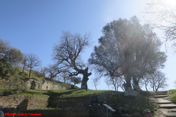 De Vix à Apollonia d'Illyrie, un parcours fait de belles découvertes pour Jenry Camus...