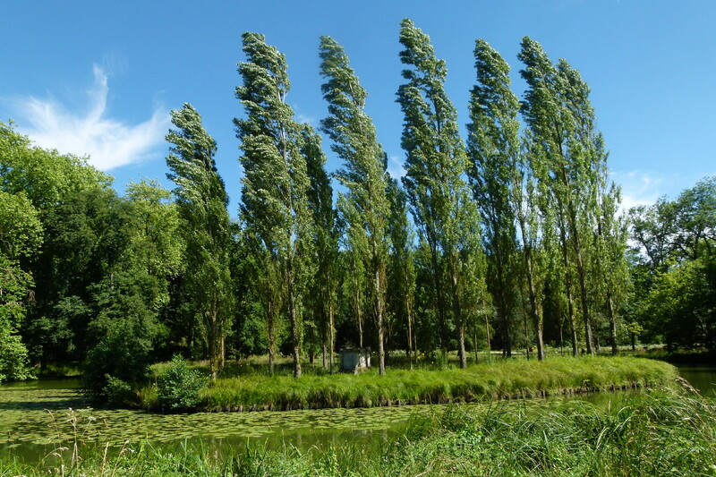 Un dimanche au parc Jean-Jacques Rousseau