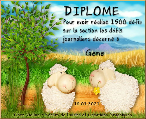 Diplômes défi journalier suite