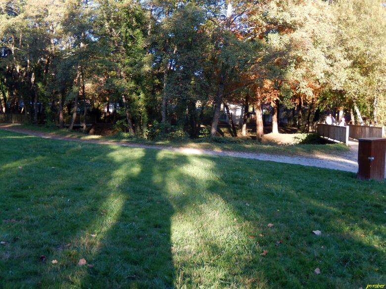 Limoges: Lac d'Uzurat des fonds verdâtres aux reflets d'automne