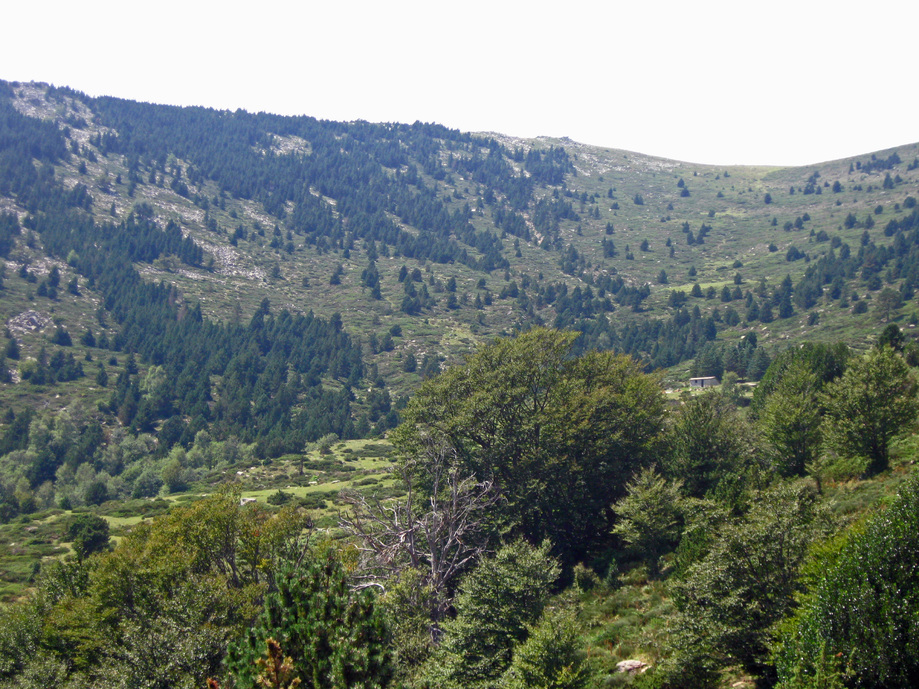 Sur les hauteurs d'une vallée âpre - Le Tour du Vallespir - Etape 2 : Batère - Saint-Guillem - 21 kms