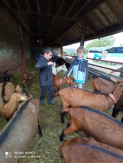 Notre journée à la ferme (suite)