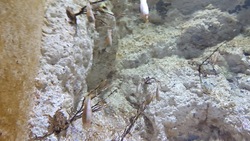 Aquarium Talmont (2)