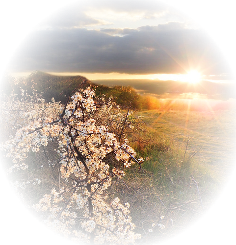 Paysage coucher de soleil / 6