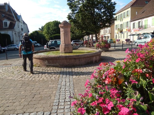 Les Crêtes des Vosges 4 de Thann à Belfort GR5 - juillet 2015