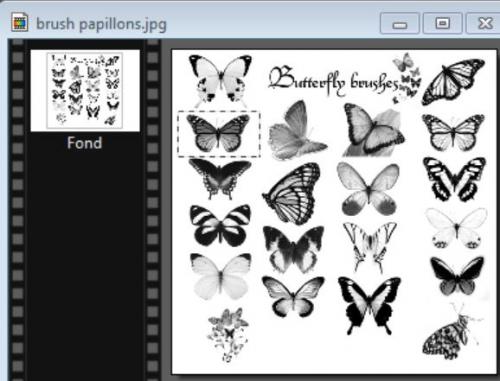 inscruster desbrushs