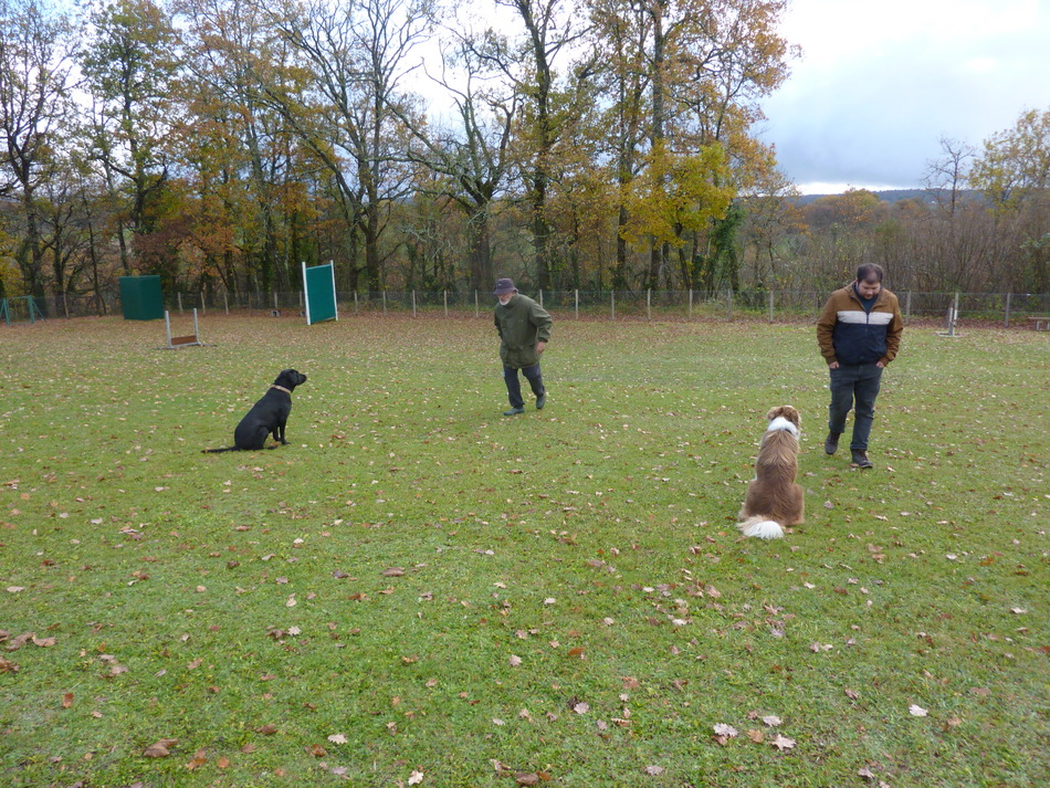 Entraînement obé décembre.