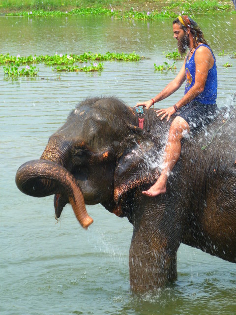 Le chitwan à dos d'éléphant...
