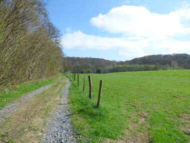 Le circuit de Caumont