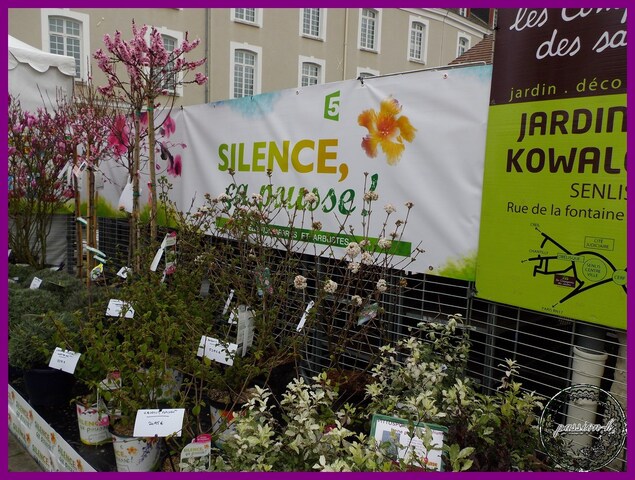 la fete du jardin a Senlis 